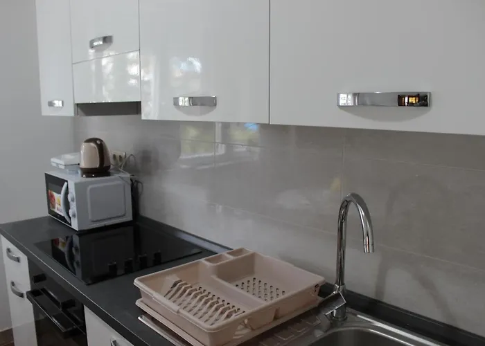 Pierre's Place 비빈제