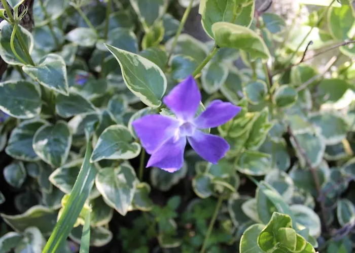 Pierre's Place Semesterbostad *