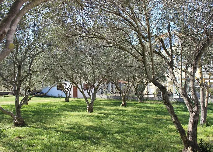 Pierre's Place