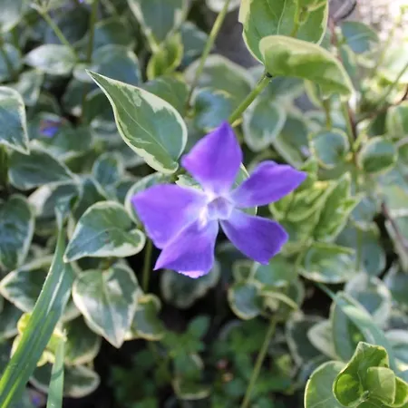 Pierre's Place Feriehus *