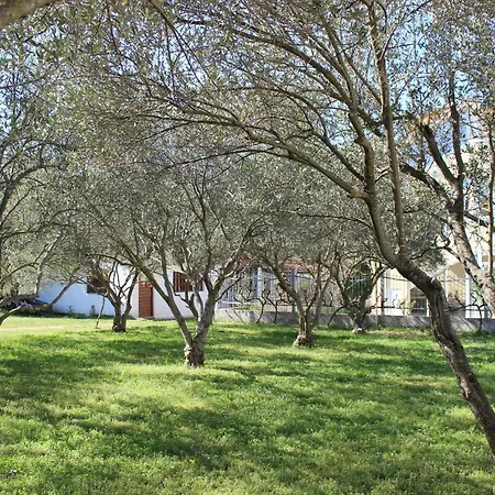 Pierre's Place