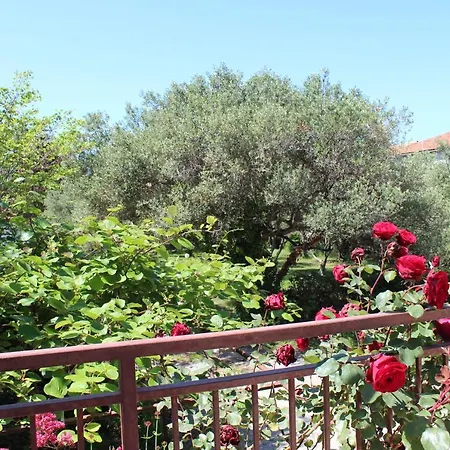 Pierre's Place Bibinje