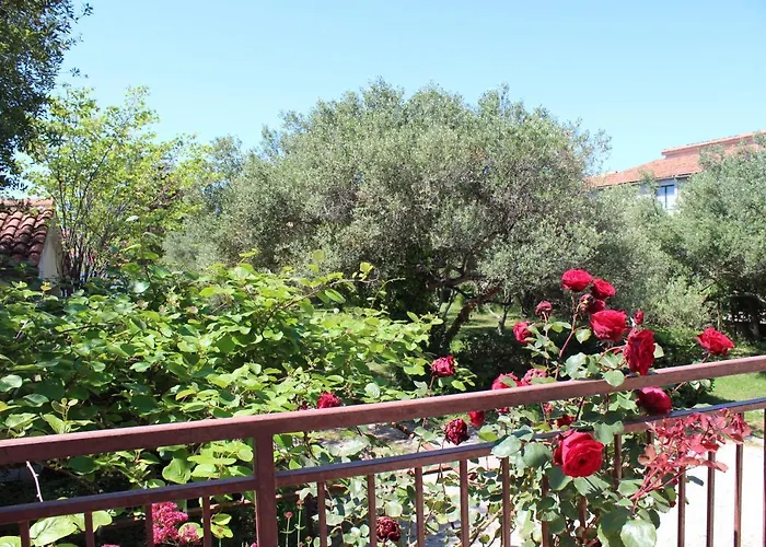 Pierre's Place Bibinje